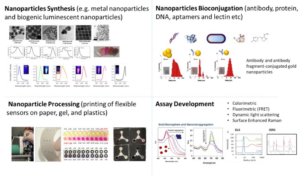 2020 09 30 Biosensors 1(resize)