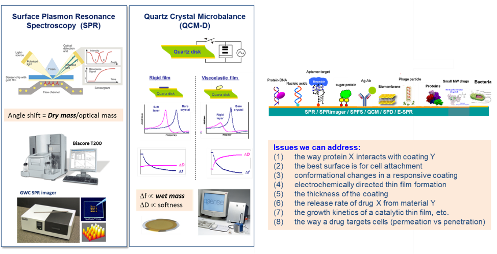 2020 11 24 Biosensors 3 2020 11 24 Biosensors 3