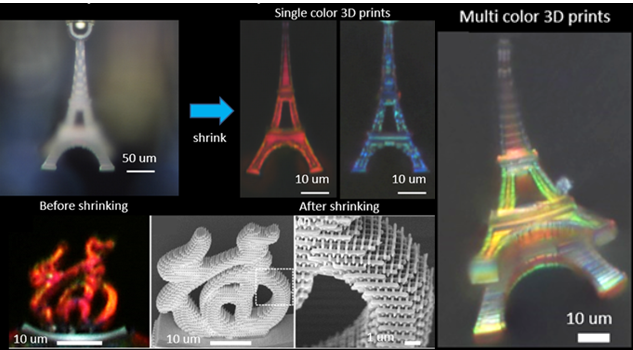 Structural color 3D printing by shrinking photonic crystals