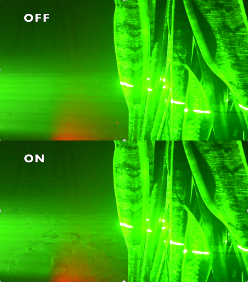 2021 02 26 Laser sheet visualization showing swirling patterns of aerosol (500x568)