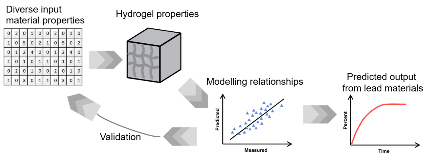 Biomedical Hydrogel Image 3