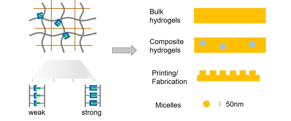 Biomedical Hydrogel Image 4