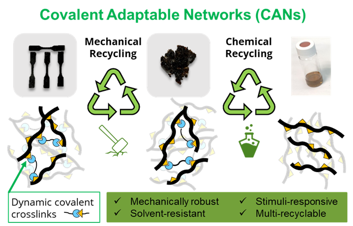 Covalent Adaptable Networks