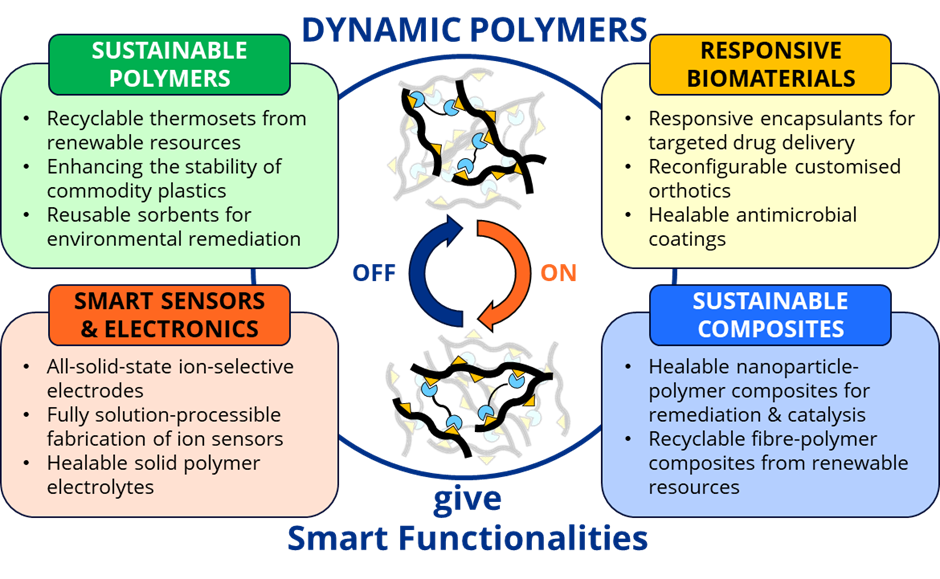 Functional Dynamic Polymers