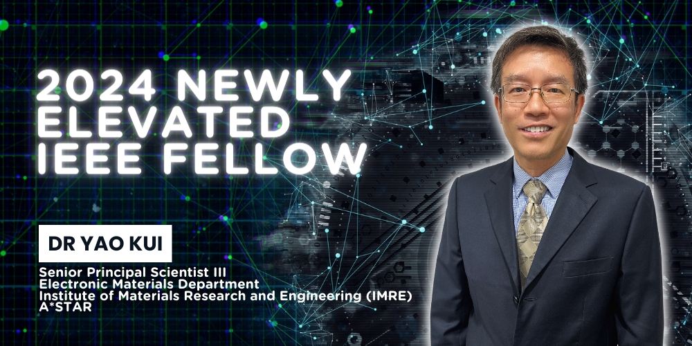 2024 IEEE Fellow