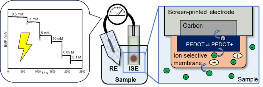 Solid-State Ion-Selective Electrodes