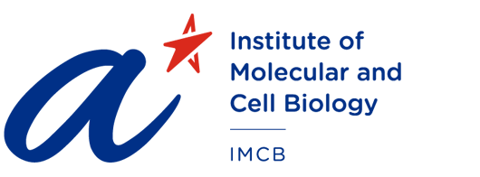 22. Institute of Molecular and Cell Biology (IMCB)