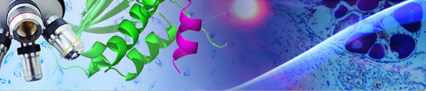 astar-p53lab-header
