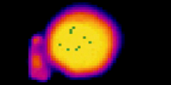 Screening Body Temperature Using Thermal Imagers 600x300