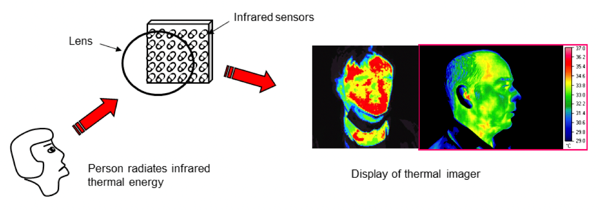 Screening Body Temperature Using Thermal Imagers