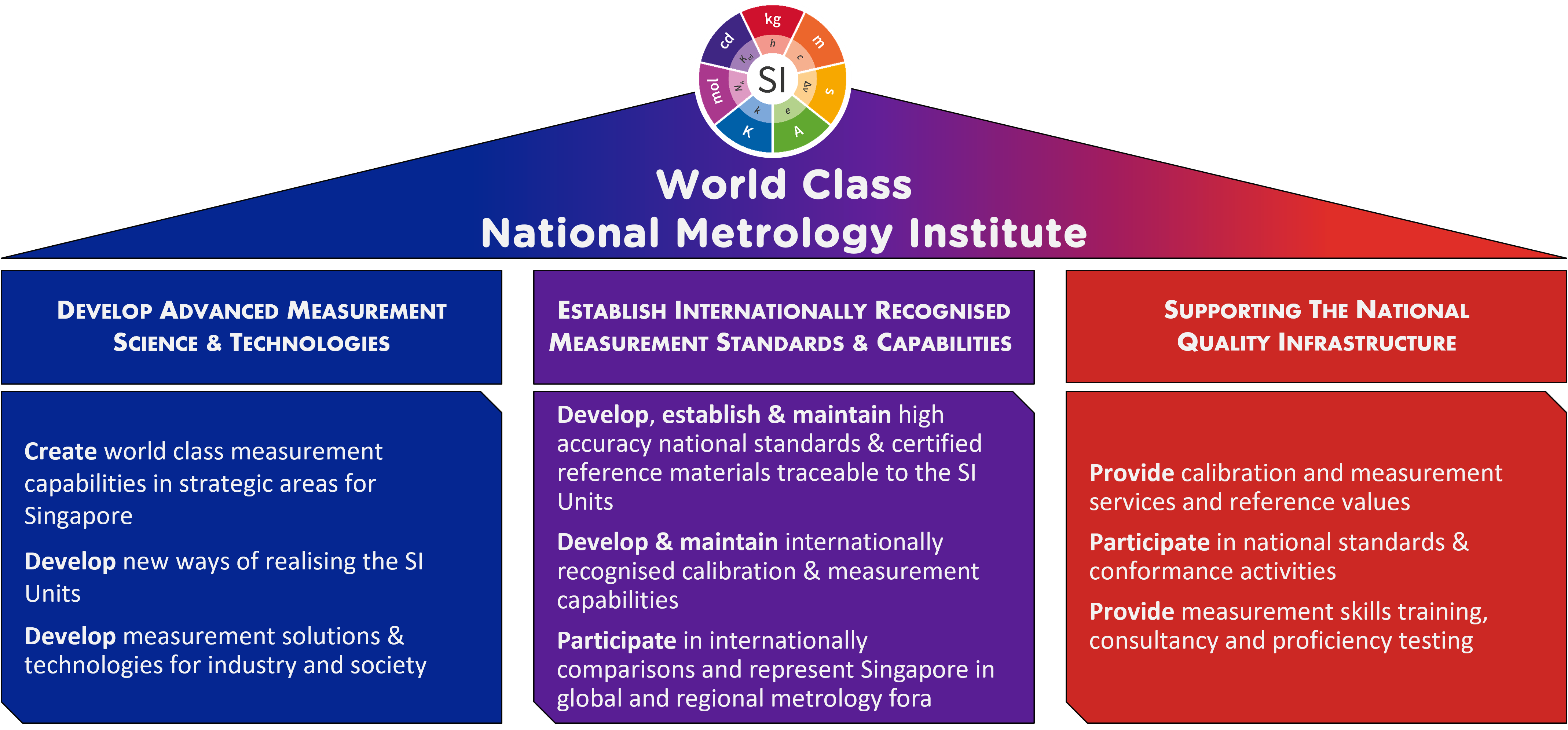 NMC Roles & Functions