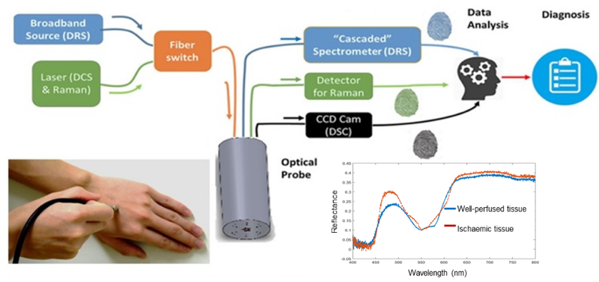 MFOS Multimodal System for Dermatological and Fat Applications MFOS Multimodal System for Dermatological and Fat Applications