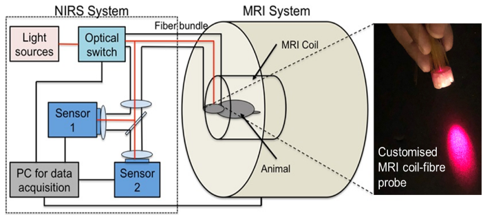 Multimodal Imaging System for Neuroscience and Musculoskeletal Applications Multimodal Imaging System for Neuroscience and Musculoskeletal Applications