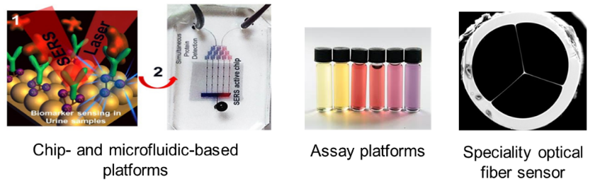 Optical Biosensors Optical Biosensors