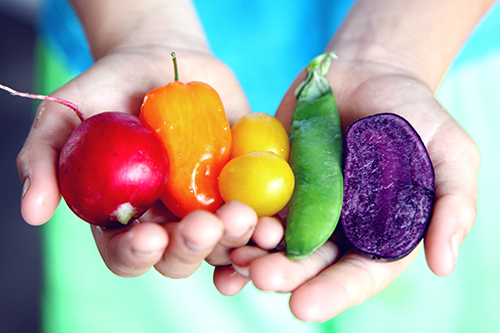 Rainbow Foods 