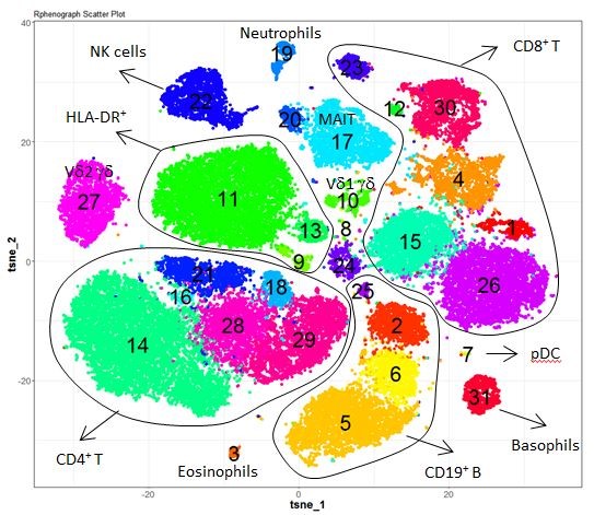 flow cytometry flow cytometry