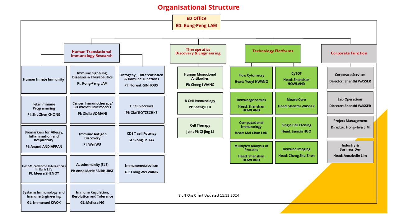 SIgN Org Chart 1 April 2024