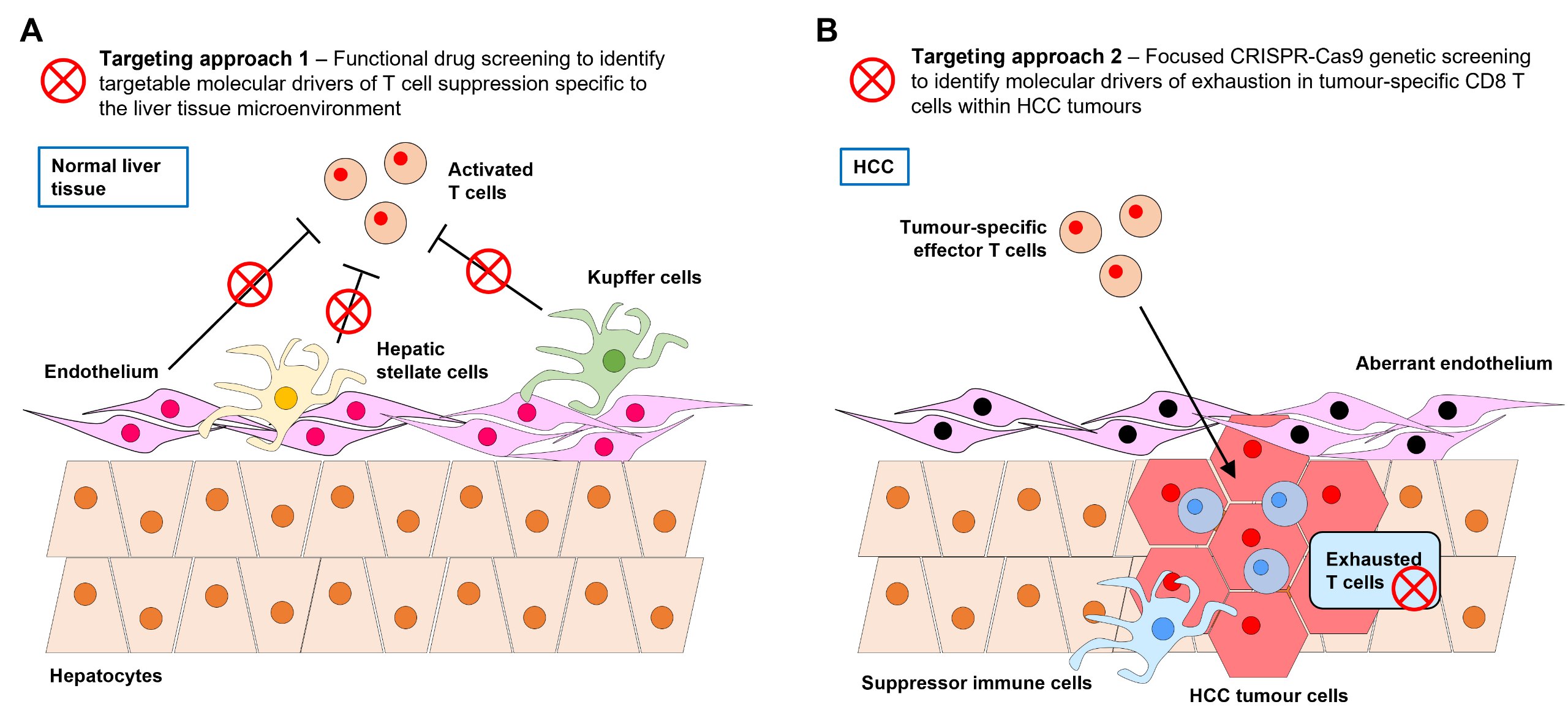 OR Lab_Figure 6