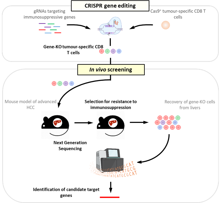 ret crispr gene editing