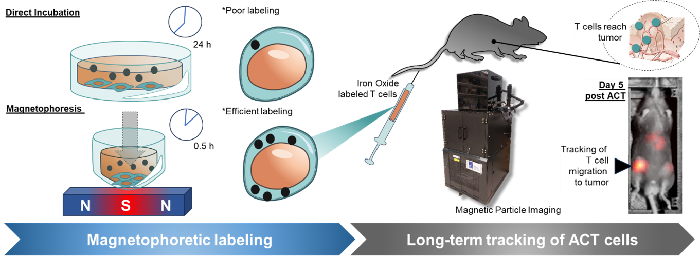 ret labelling