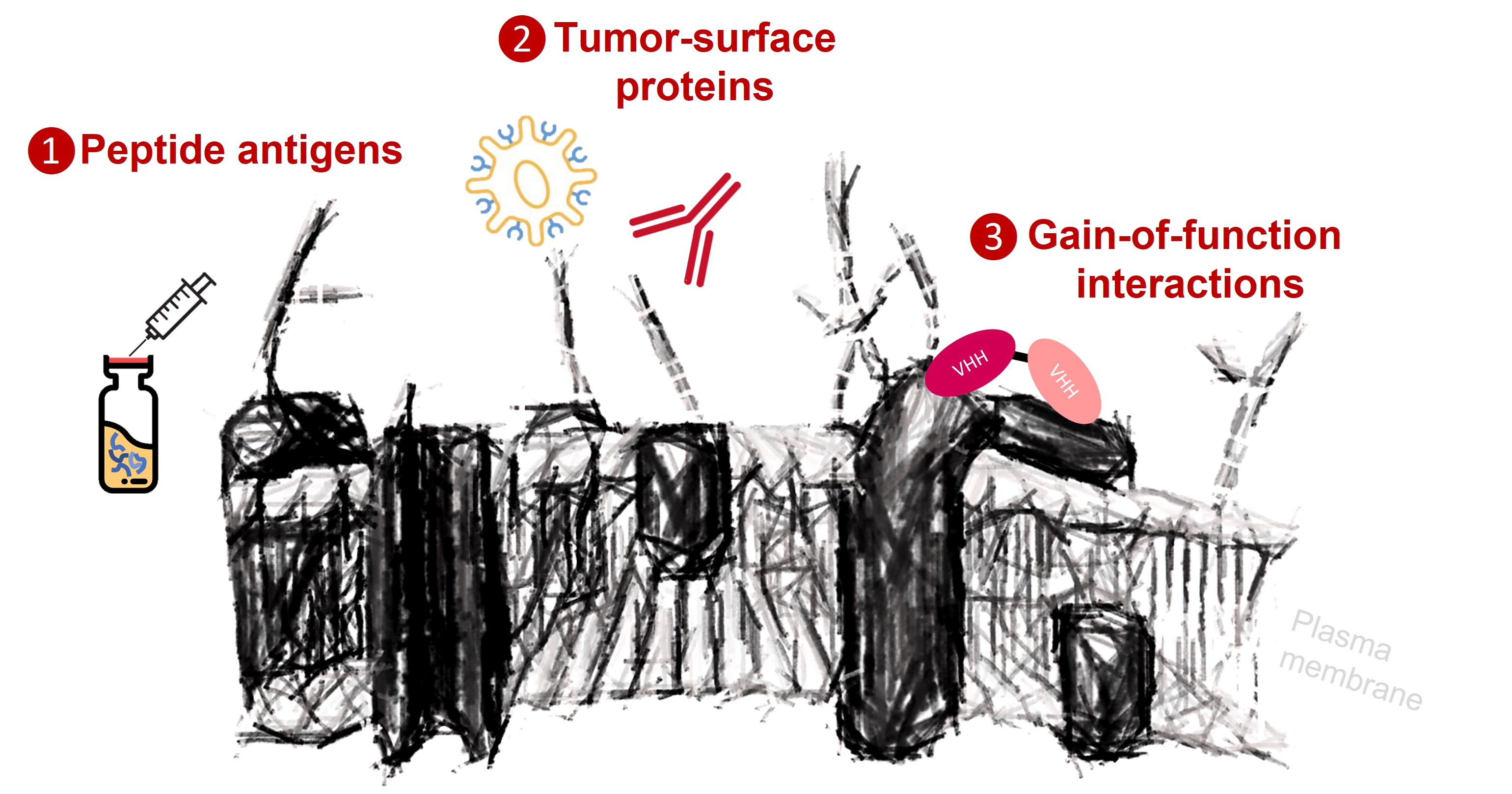 WW lab - Cancer antigen