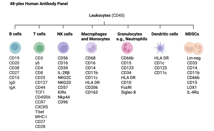 Human Antobody Panel