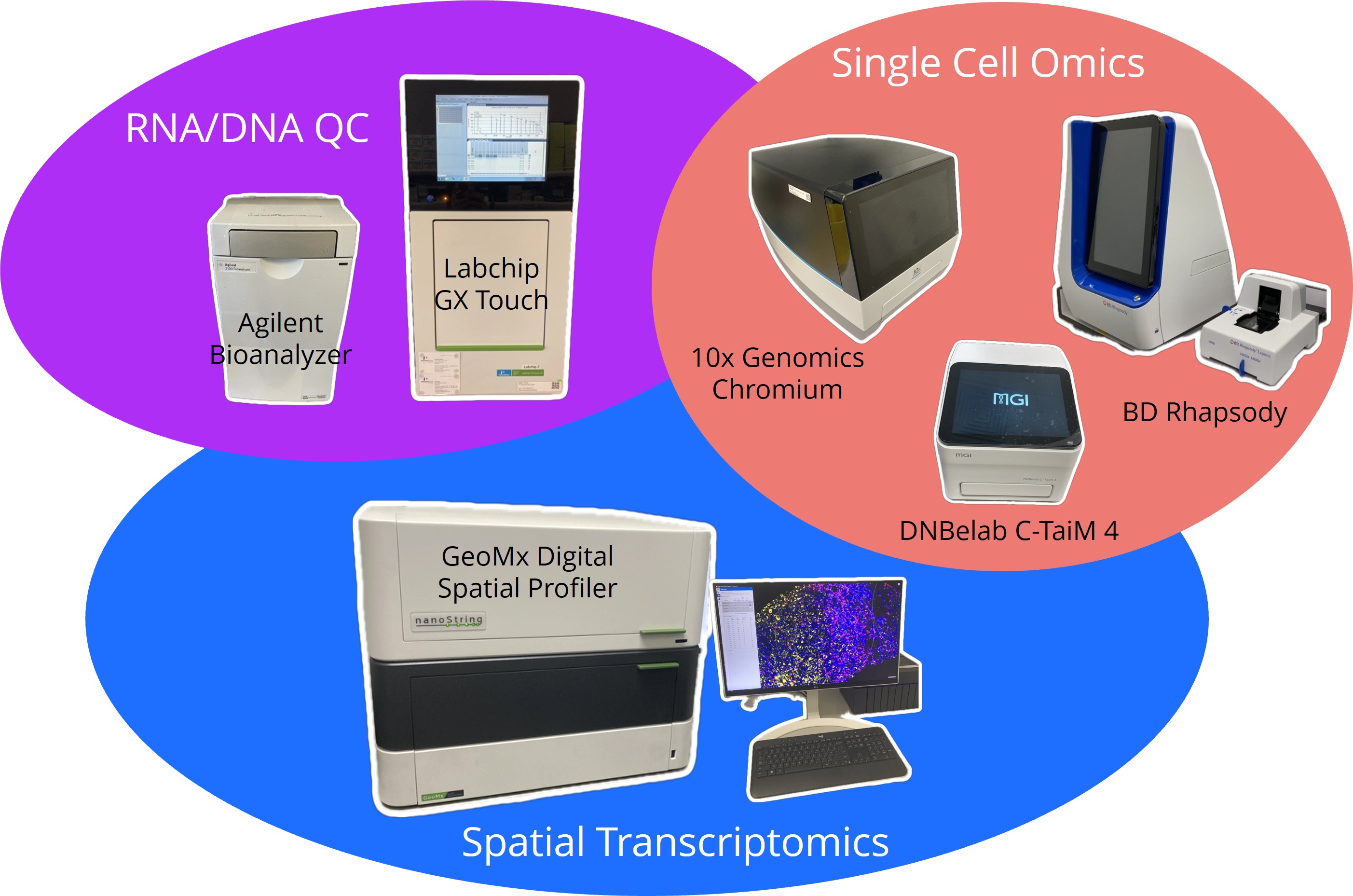 Equipment in the SIgN Immunogenomics Platform includes the Agilent Bioanalyzer 2100 and Revvity LabChip GX Touch HT for nucleic acid fragment analysis, the 10x Genomics Chromium X Series, BD Rhapsody Single-Cell Analysis System and MGI DNBelab C-TaiM 4 for single cell multiomics, and the NanoString GeoMx Digital Spatial Profiler for spatial transcriptomics and proteomics