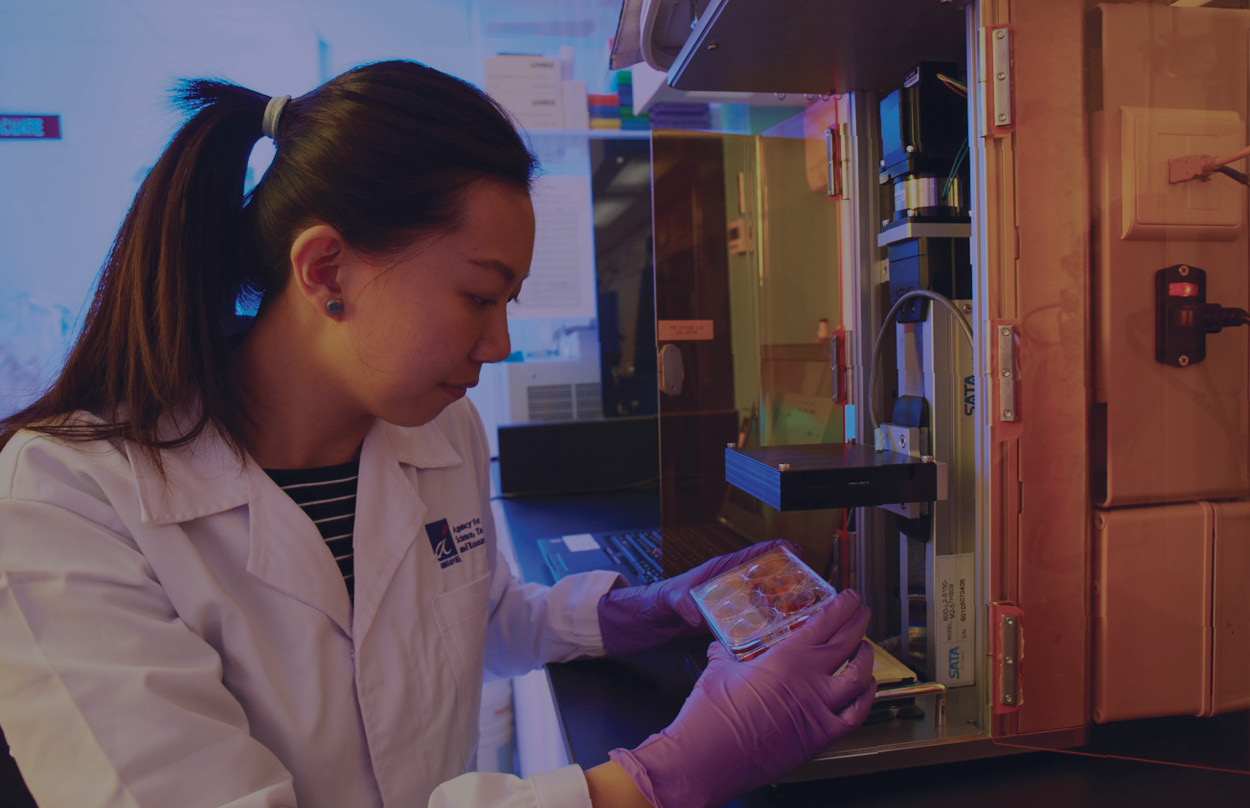 MedTech Manufacturing