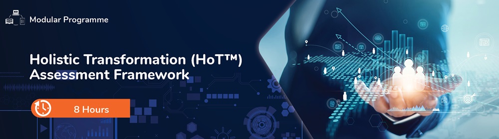 Holistic Transformation Assessment Framework