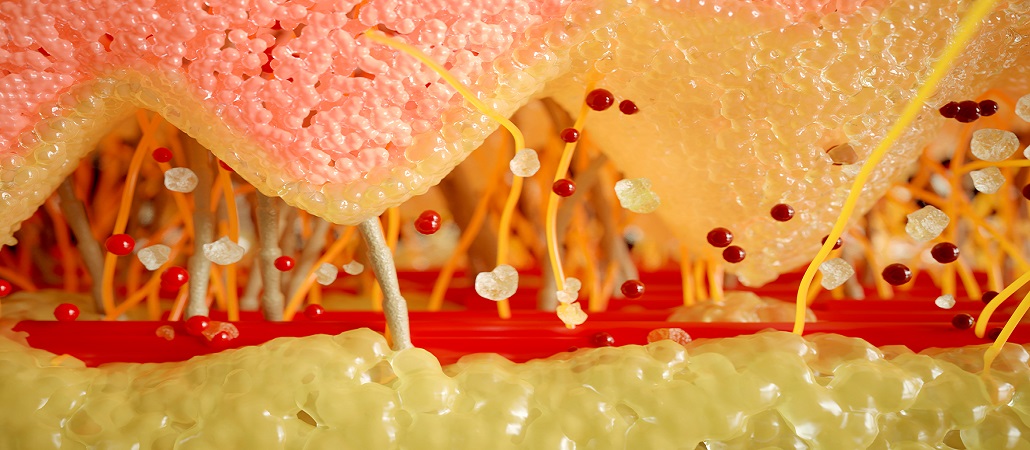 Cell layer-01 Cell layer-01