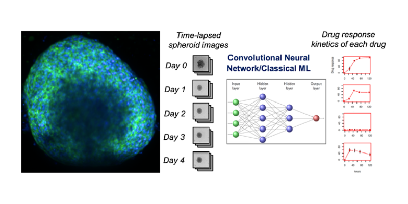•	Precision oncology approach for identification of anti-cancer drug for patients (collab. GIS A*STAR)