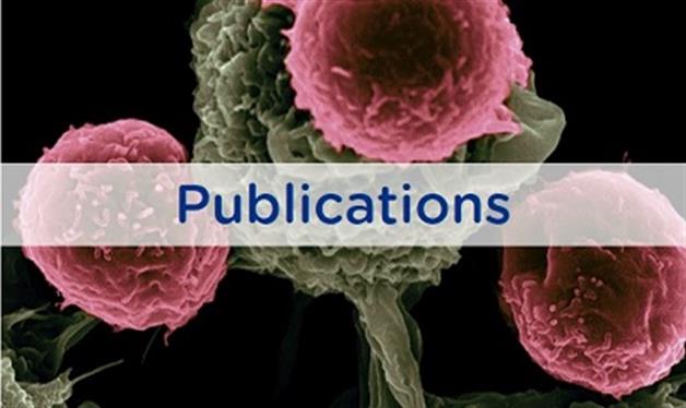 EDDC-Publications EDDC-Publications