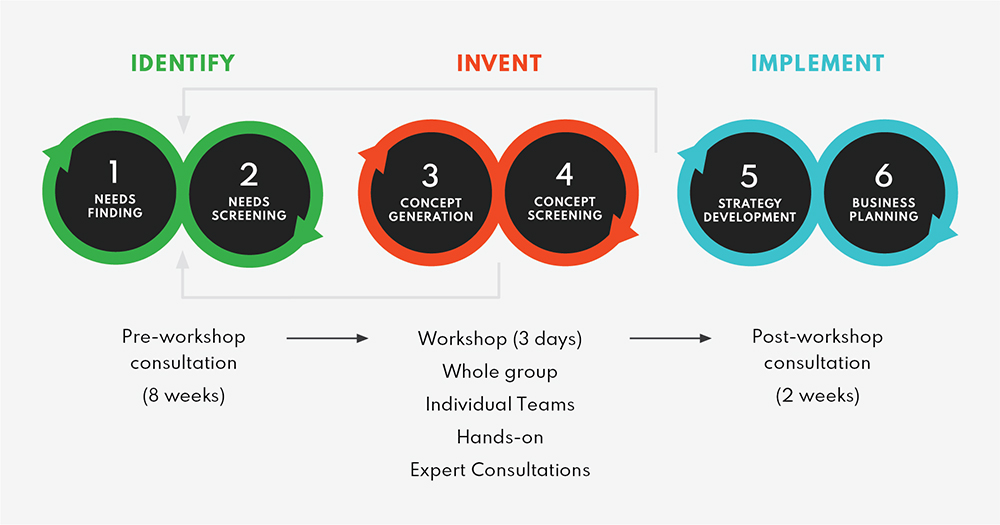 D_Mentoring with Biodesign Process