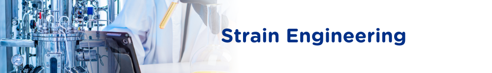 2. Strain Engineering Banner