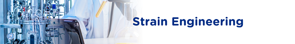 2-strain-engineering-banner_60