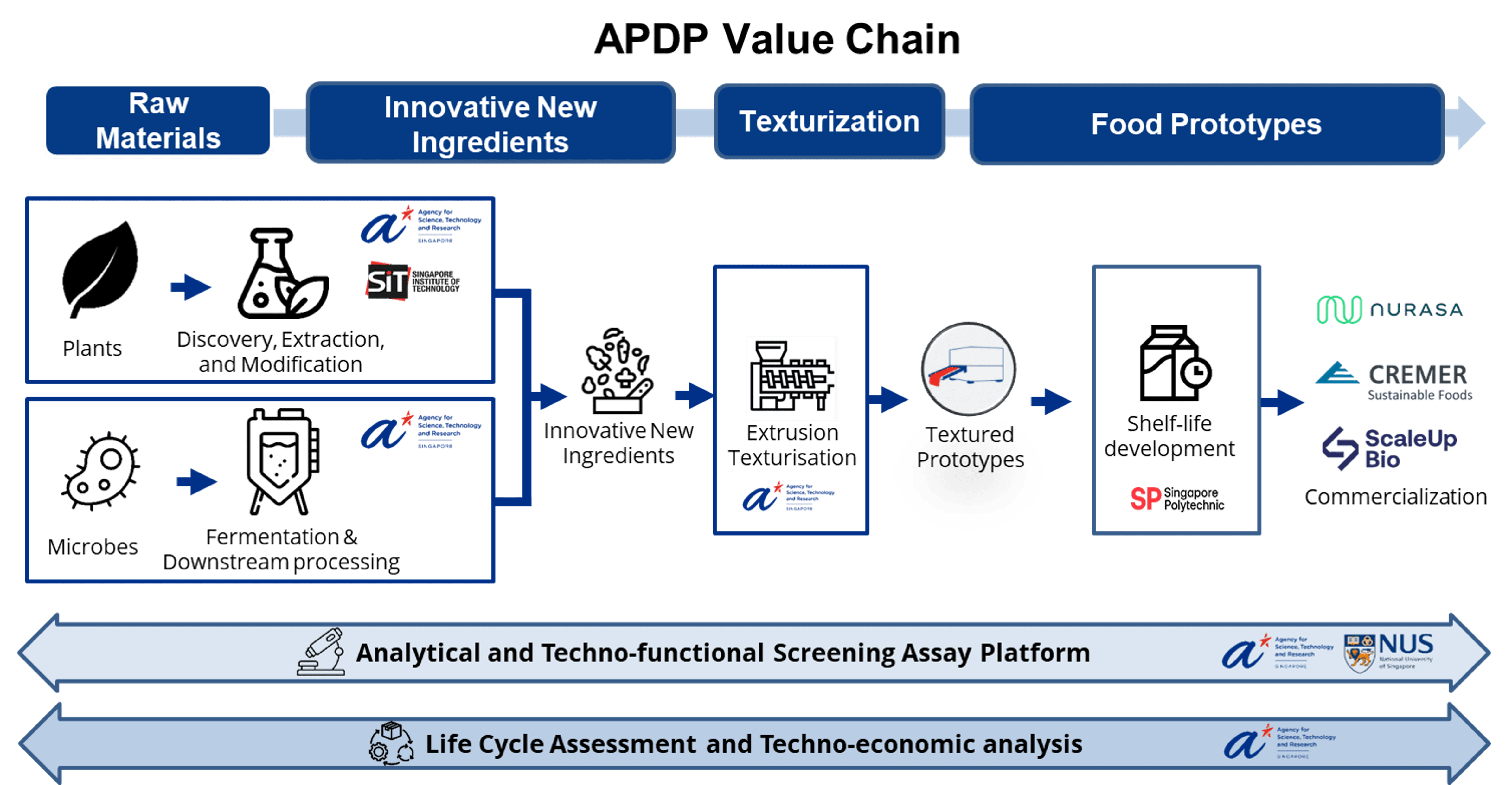 apdp value chain
