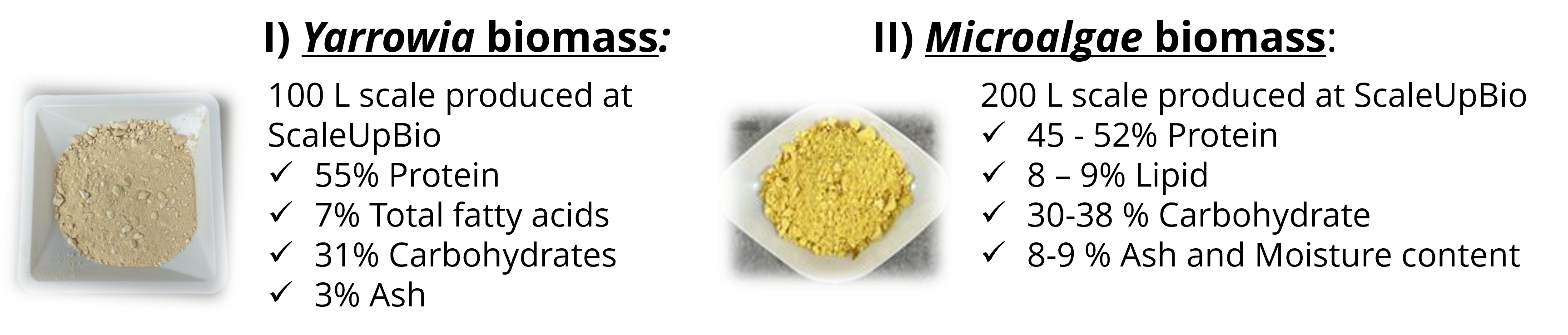 APDP Biomass fermentation