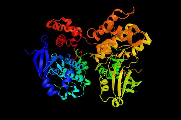 Biocatalysis