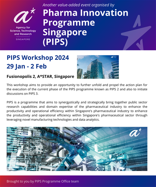 PIPSworkshop2024CanvaPosterv2