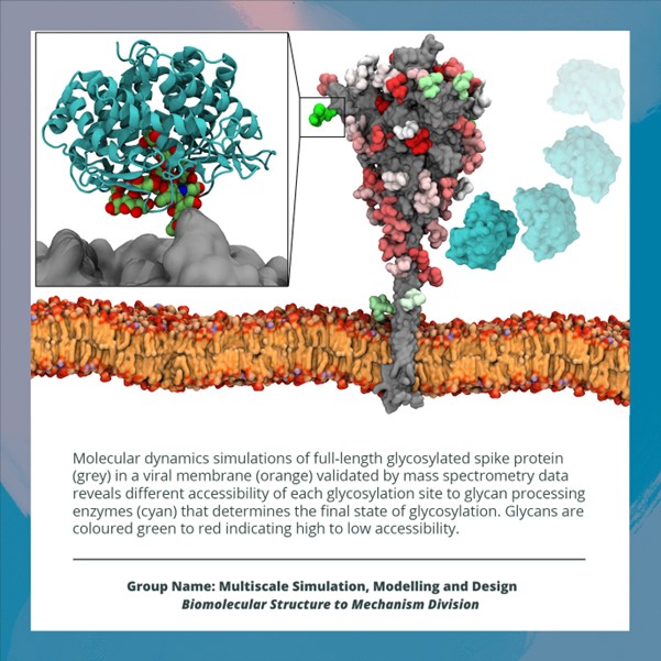 BII_highlights_PeterBond_Physorg_article