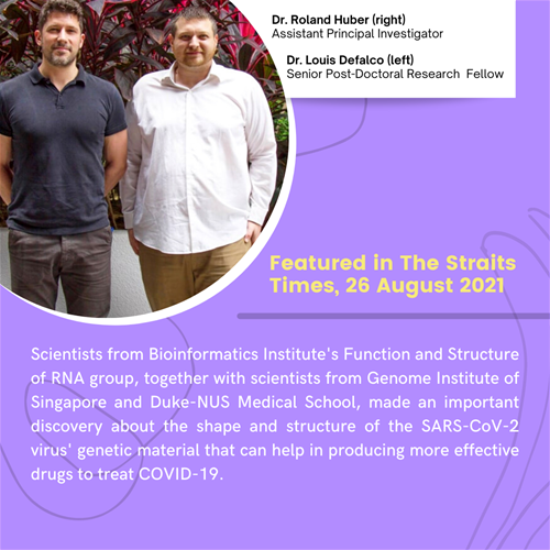 Function and Structure of RNA group featured in The Straits Times - 26 August 2021