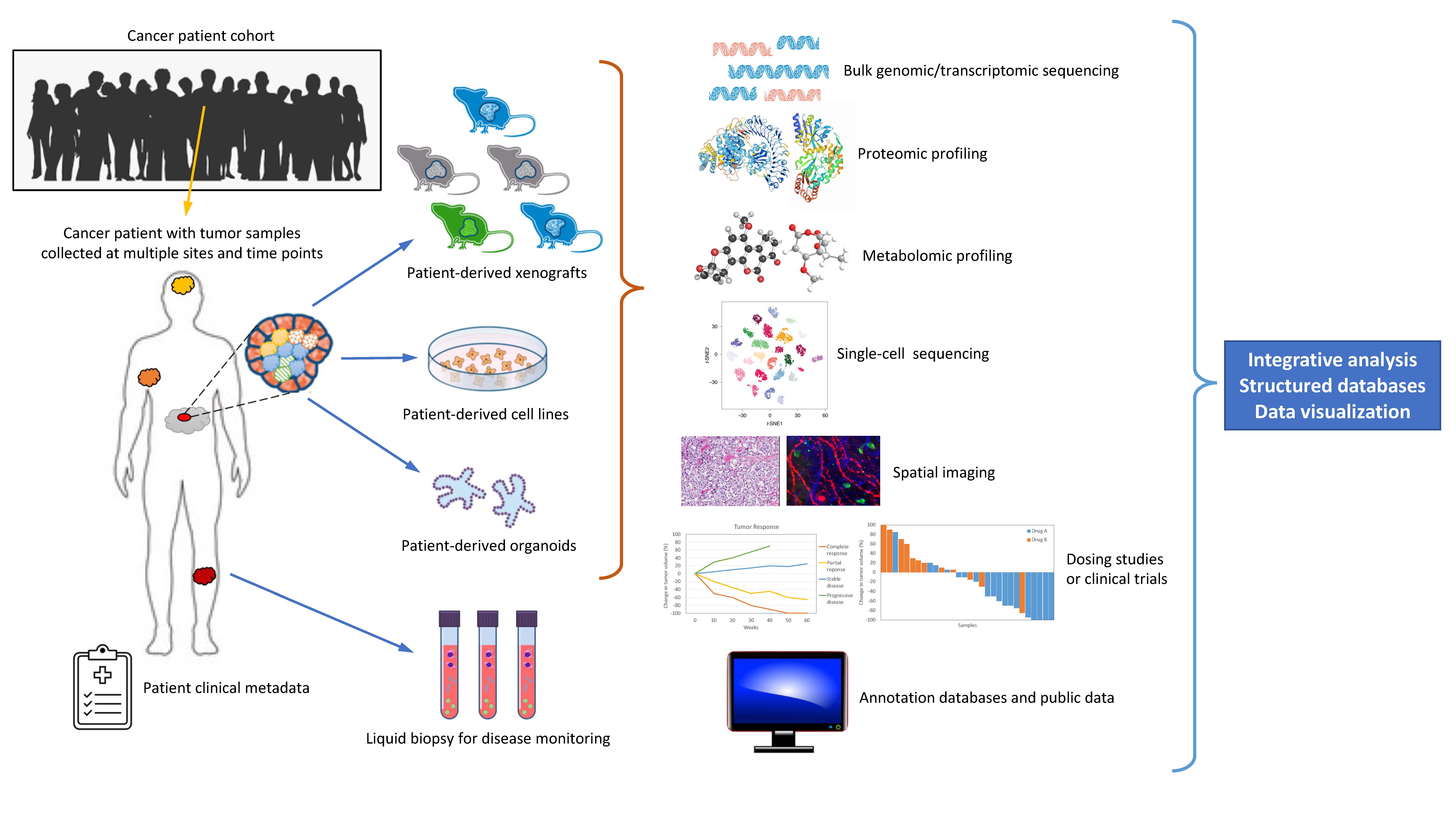 BDHD-RDI-Fig1