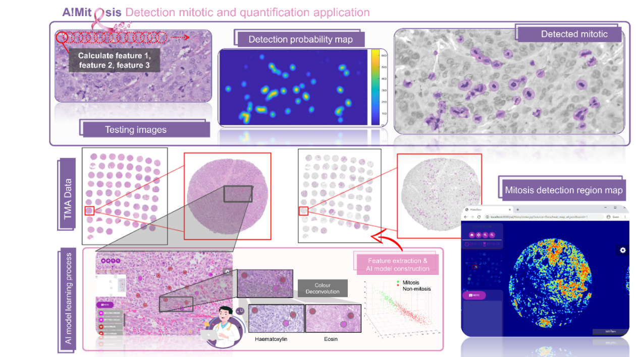 BII_ciid-cpdl-figure4