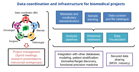 BII_Research-BDHD-RDI-Figure2