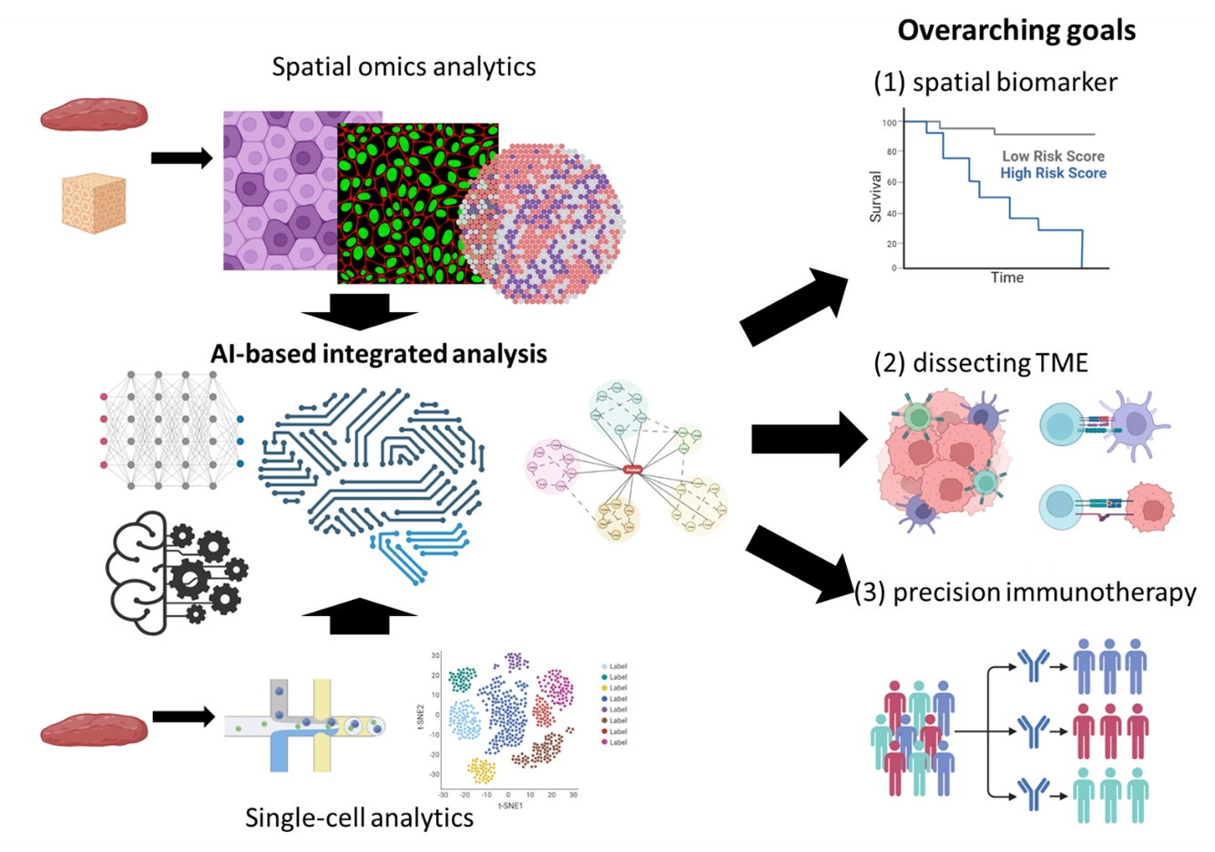 BII_Research-BDHD-SSCOI-Figure1