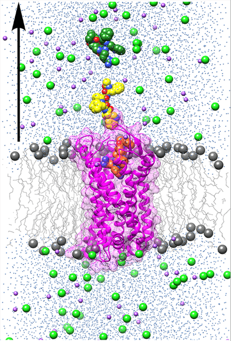BII_Research-BMAD-SLDD-Figure-1 BII - Structure-based Ligand Discovery and Design