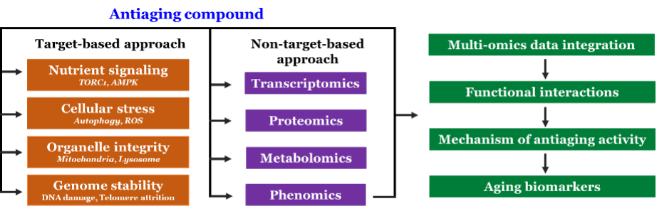 BII_Research-BSFD-ABIR-Figure-2