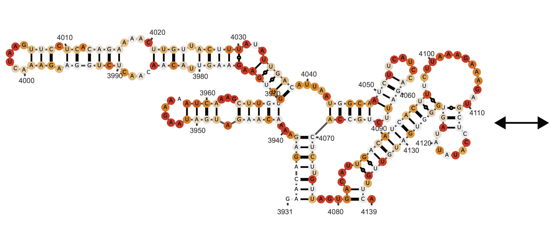 BII_Research-BSFD-FSRNA-Figure2