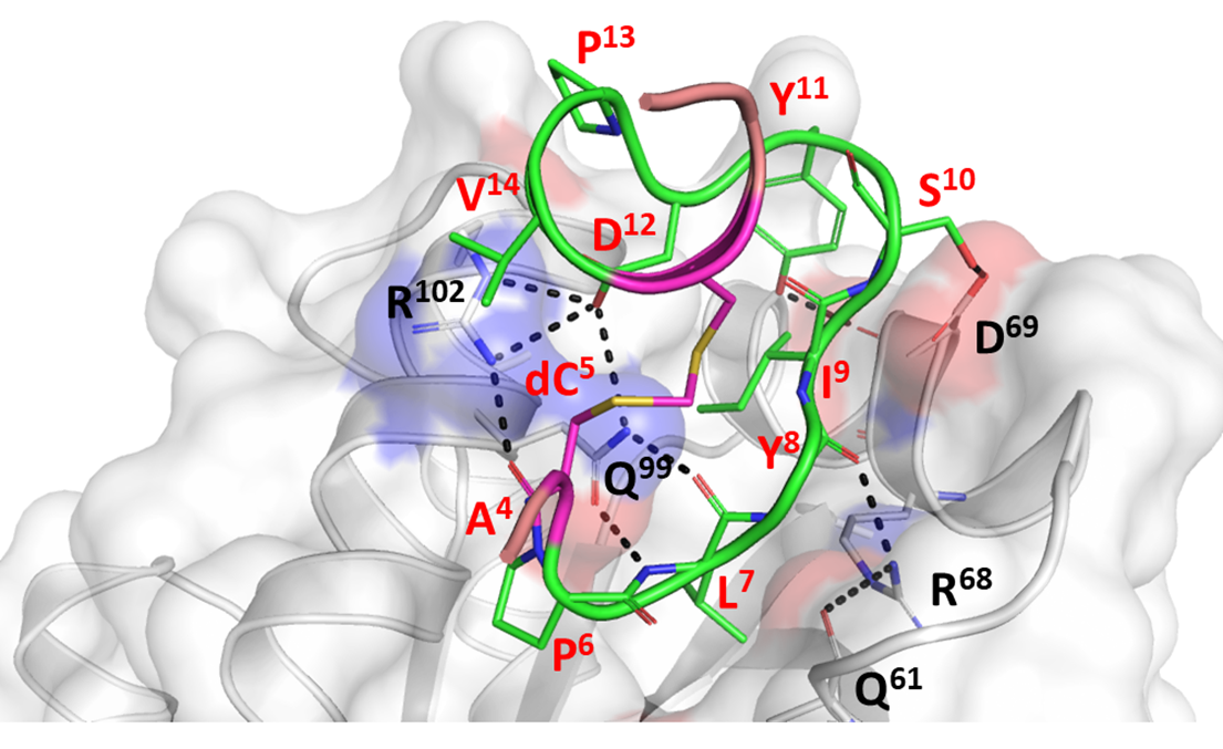 BII_Research-BSMD-ASDB-Figure2