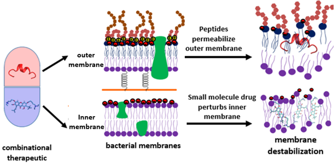 BII_Research-BSMD-ASDB-Figure3-2023